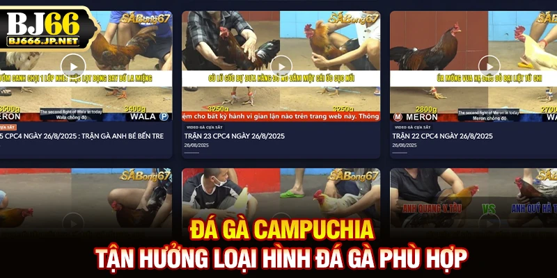 Đá Gà Campuchia - Tận Hưởng Loại Hình Đá Gà Phù Hợp